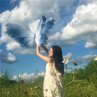 女税务员 海报