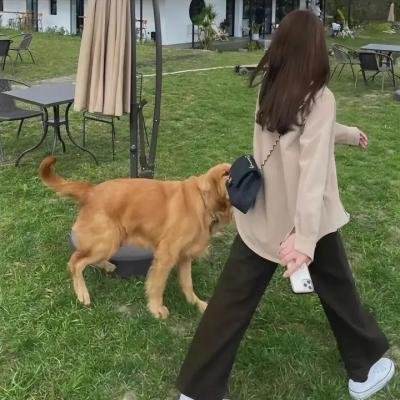 警察与女兵国语 海报
