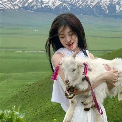 偷心女巫 海报